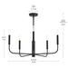 Progress Lighting - P400446-31M - Five Light Chandelier - Reines - Matte Black