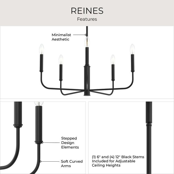 Progress Lighting - P400446-31M - Five Light Chandelier - Reines - Matte Black