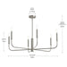 Progress Lighting - P400448-009 - Six Light Chandelier - Reines - Brushed Nickel