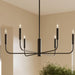Progress Lighting - P400448-31M - Six Light Chandelier - Reines - Matte Black