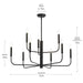 Progress Lighting - P400449-31M - Nine Light Chandelier - Reines - Matte Black