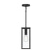 Progress Lighting - P550146-31M - One Light Outdoor Pendant - Ryle - Matte Black