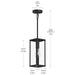 Progress Lighting - P550146-31M - One Light Outdoor Pendant - Ryle - Matte Black