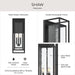 Progress Lighting - P560412-031 - Three Light Outdoor Wall Mount - Shaw - Black