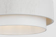 Visual Comfort Studio - EP1184AI - Four Light Hanging Shade - Belaro - Aged Iroged Iron