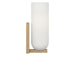 Generation Lighting - GLV1951SBE - One Light Vanity - Neblina - Satin Brass