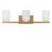 Generation Lighting - GLV1973SB - Three Light Vanity - Neblina - Satin Brass