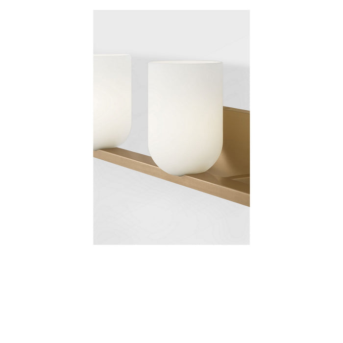 Generation Lighting - GLV1973SBE - Three Light Vanity - Neblina - Satin Brass