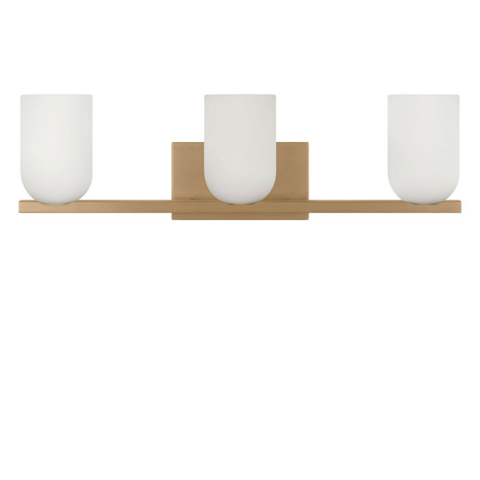 Generation Lighting - GLV1973SBE - Three Light Vanity - Neblina - Satin Brass