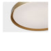 Generation Lighting - GLF1981MSB - LED Flush Mount - Nevado - Satin Brass