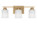 Generation Lighting - 4420903-848 - Three Light Bath - Vinton - Satin Brass