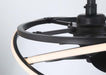 Hunter - 50300 - 20" Fandelier - Cirro Fandelier - Matte Black