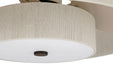 Hunter - 52973 - 30" Ceiling Fan - Brookside - Matte Bronze
