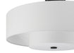 Hunter - 52976 - 30" Ceiling Fan - Brookside - Matte Black
