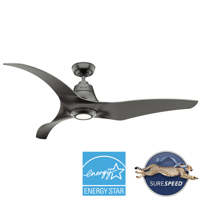 Hunter - 53509 - 60" Ceiling Fan - Arwen - Granite