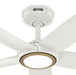 Hunter - 53641 - 44" Ceiling Fan - Zentech - Fresh White