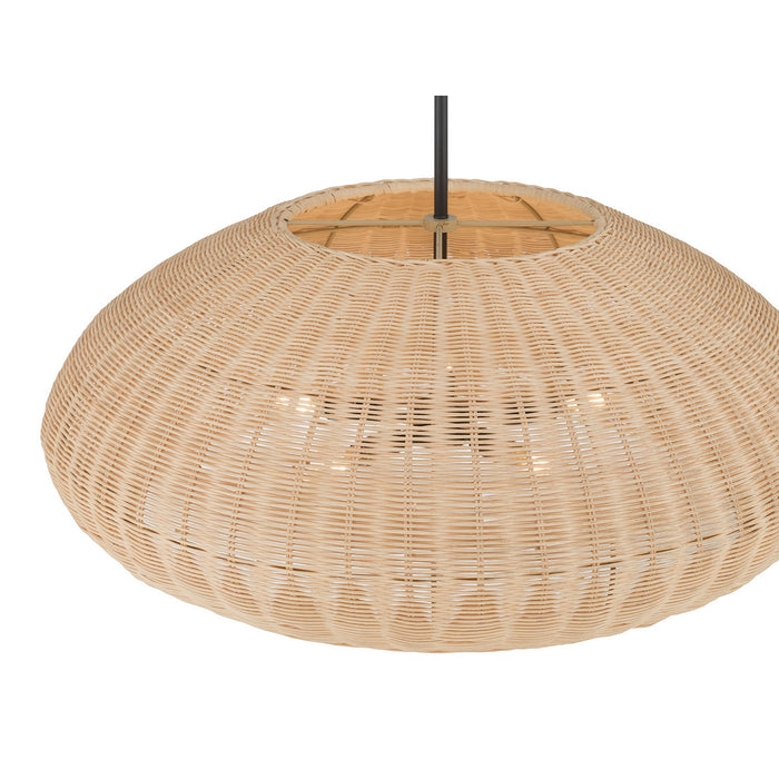 Millennium - 209105-MB - Five Light Pendant - Natora - Matte Black