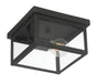 Millennium - 4201-PBK - One Light Flush Mount - Evanton - Powder Coated Black