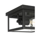 Millennium - 4201-PBK - One Light Flush Mount - Evanton - Powder Coated Black