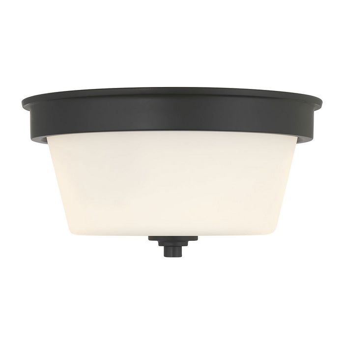 Millennium - 64102WG-MB - Two Light Flush Mount - Strayhan - Matte Black