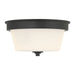 Millennium - 64102WG-MB - Two Light Flush Mount - Strayhan - Matte Black
