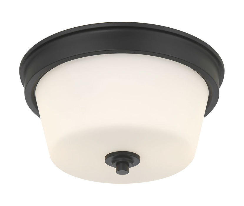 Millennium - 64102WG-MB - Two Light Flush Mount - Strayhan - Matte Black