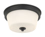Millennium - 64102WG-MB - Two Light Flush Mount - Strayhan - Matte Black