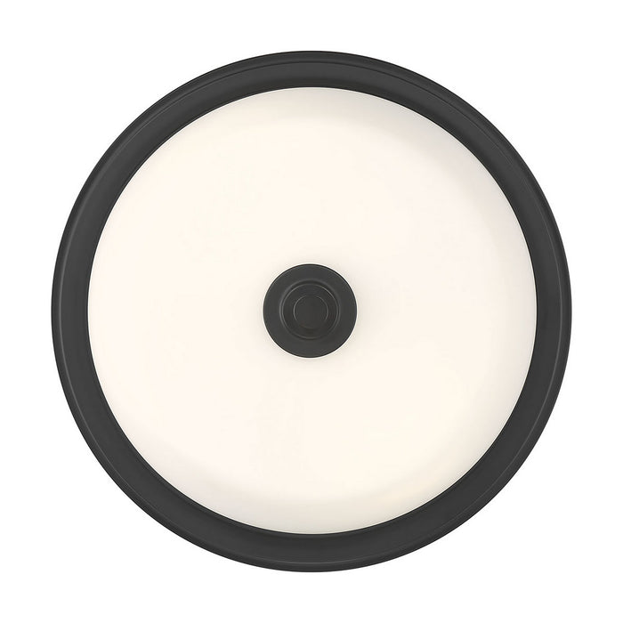 Millennium - 64102WG-MB - Two Light Flush Mount - Strayhan - Matte Black