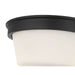 Millennium - 64102WG-MB - Two Light Flush Mount - Strayhan - Matte Black