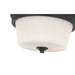 Millennium - 64102WG-MB - Two Light Flush Mount - Strayhan - Matte Black