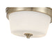 Millennium - 64102WG-MG - Two Light Flush Mount - Strayhan - Modern Gold