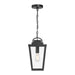 Millennium - 68301-PBK - One Light Pendant - Brenwick - Powder Coated Black