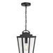 Millennium - 68301-PBK - One Light Pendant - Brenwick - Powder Coated Black