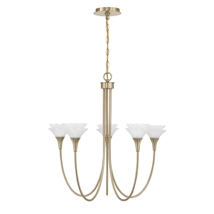 Savoy House - 1-5082-5-127 - Five Light Chandelier - Florena - Noble Brass