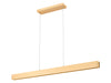 Z-Lite - 1016-55L-GLD-LED - LED Linear Chandelier - Hudson - Gold