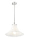 Z-Lite - 1958P16-BN - One Light Pendant - Fleur - Brushed Nickel