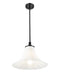 Z-Lite - 1958P16-MB - One Light Pendant - Fleur - Matte Black