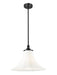 Z-Lite - 1958P16-MB - One Light Pendant - Fleur - Matte Black