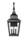 Z-Lite - 5029B-BK - Three Light Outdoor Wall Mount - Raphael - Sand Black