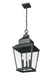 Z-Lite - 5029CHB-BK - Three Light Outdoor Chain Mount Ceiling Fixture - Raphael - Sand Black