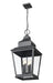 Z-Lite - 5029CHXL-BK - Four Light Outdoor Chain Mount Ceiling Fixture - Raphael - Sand Black