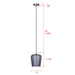 Canarm - IPL1249A01BN-SR - One Light Pendant - Leandro - Brushed Nickel