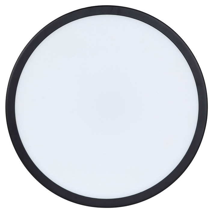 Canarm - CL-25F-12-BK-C - LED Flush Mount - Briar - Matte Black