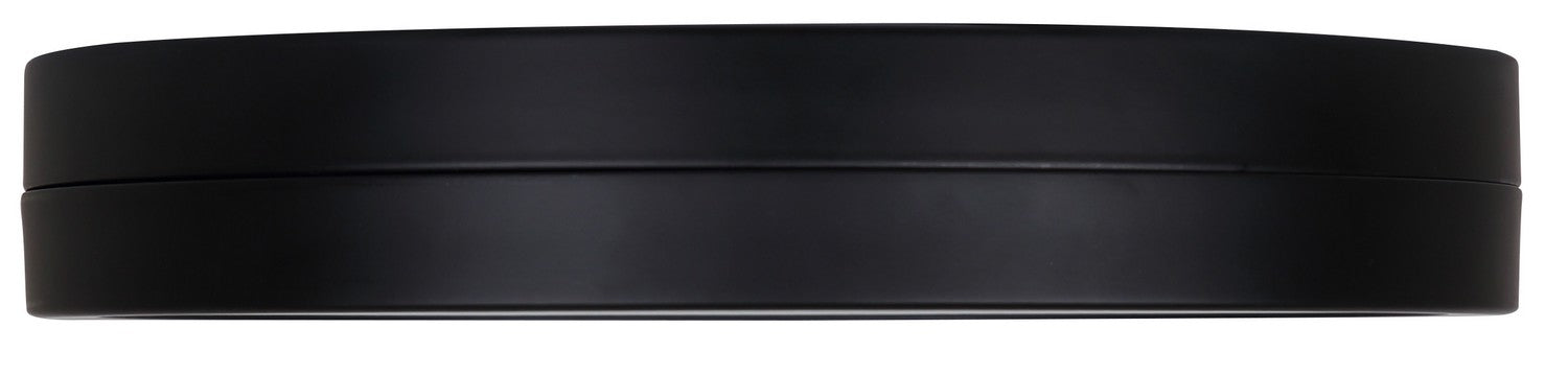 Canarm - CL-25F-12-BK-C - LED Flush Mount - Briar - Matte Black