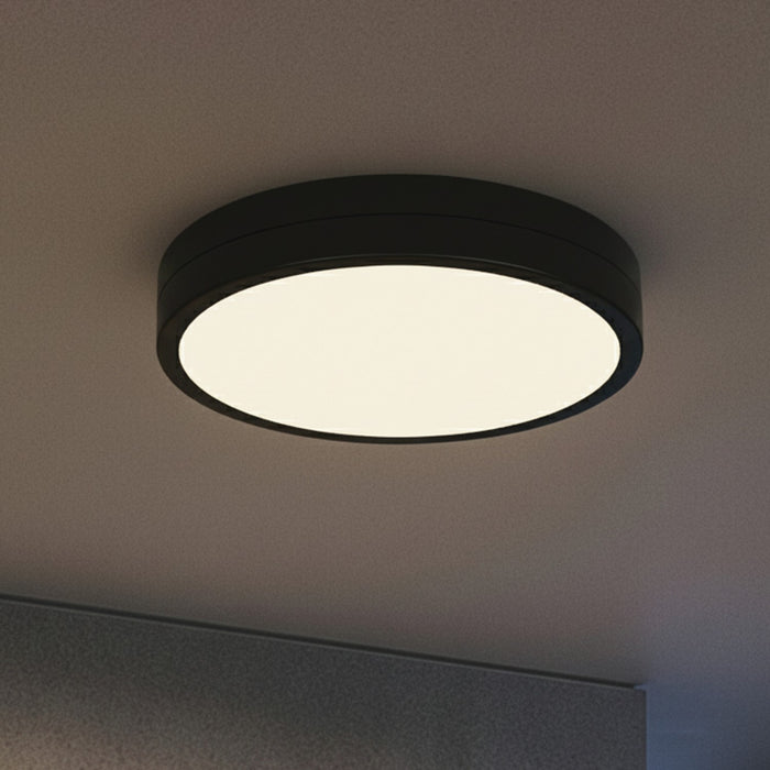 Canarm - CL-25F-12-BK-C - LED Flush Mount - Briar - Matte Black
