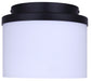 Canarm - IFM1234A09BK-FO - One Light Flush Mount - Britton - Matte Black