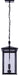 Canarm - IOL769BK - Two Light Outdoor Pendant - Rossland - Matte Black