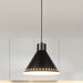 Canarm - IPL1237A01BK - One Light Pendant - Albie - Matte Black