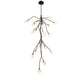 Lib & Co. - 12308-043 - LED Chandelier - Modena - Black with gold accent