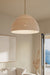 Minka-Lavery - 19895-732 - One Light Pendant - Fernwood - Legacy Brass